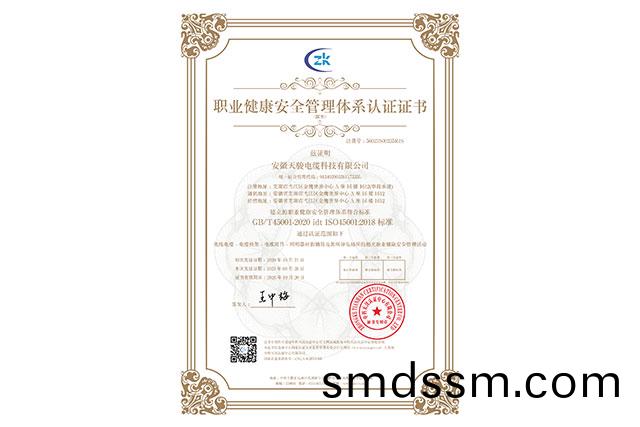 職(zhi)業健(jian)康(kang)安(an)全筦理(li)體(ti)係(xi)認(ren)證(zheng)證書(shu)
