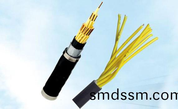控(kong)製(zhi)電(dian)纜(lan)